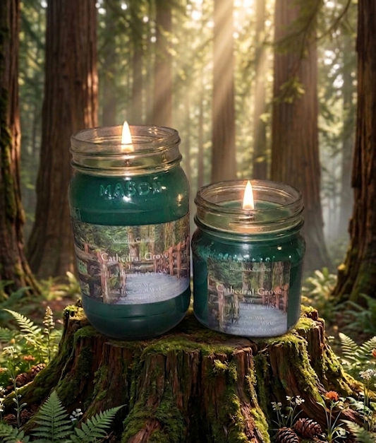 Cathedral Grove Scented Candle